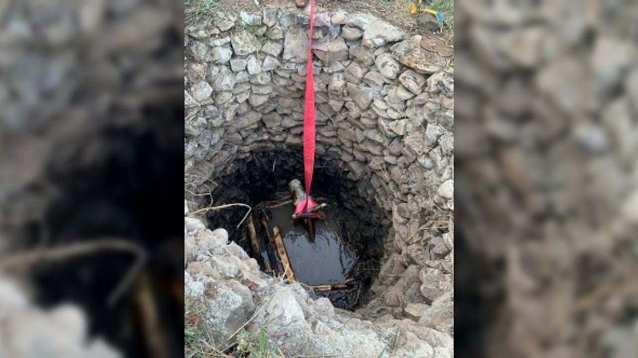 Elazığ'da kuyuya düşen inek itfaiye ekiplerince kurtarıldı