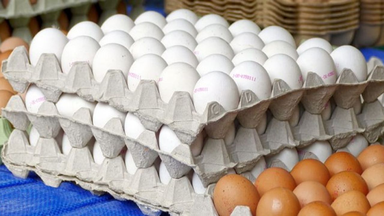 Yumurtaya akılalmaz zam! Fiyatı yüzde 400 arttı