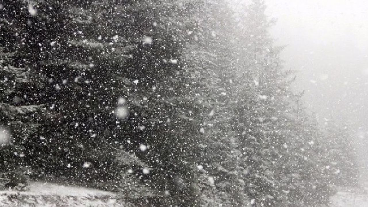 Van'da beklenen kar yağışı başladı