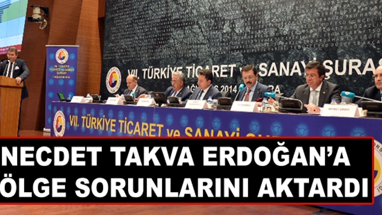 Takva, Başbakan Erdoğan'a bölge sorunlarını anlattı