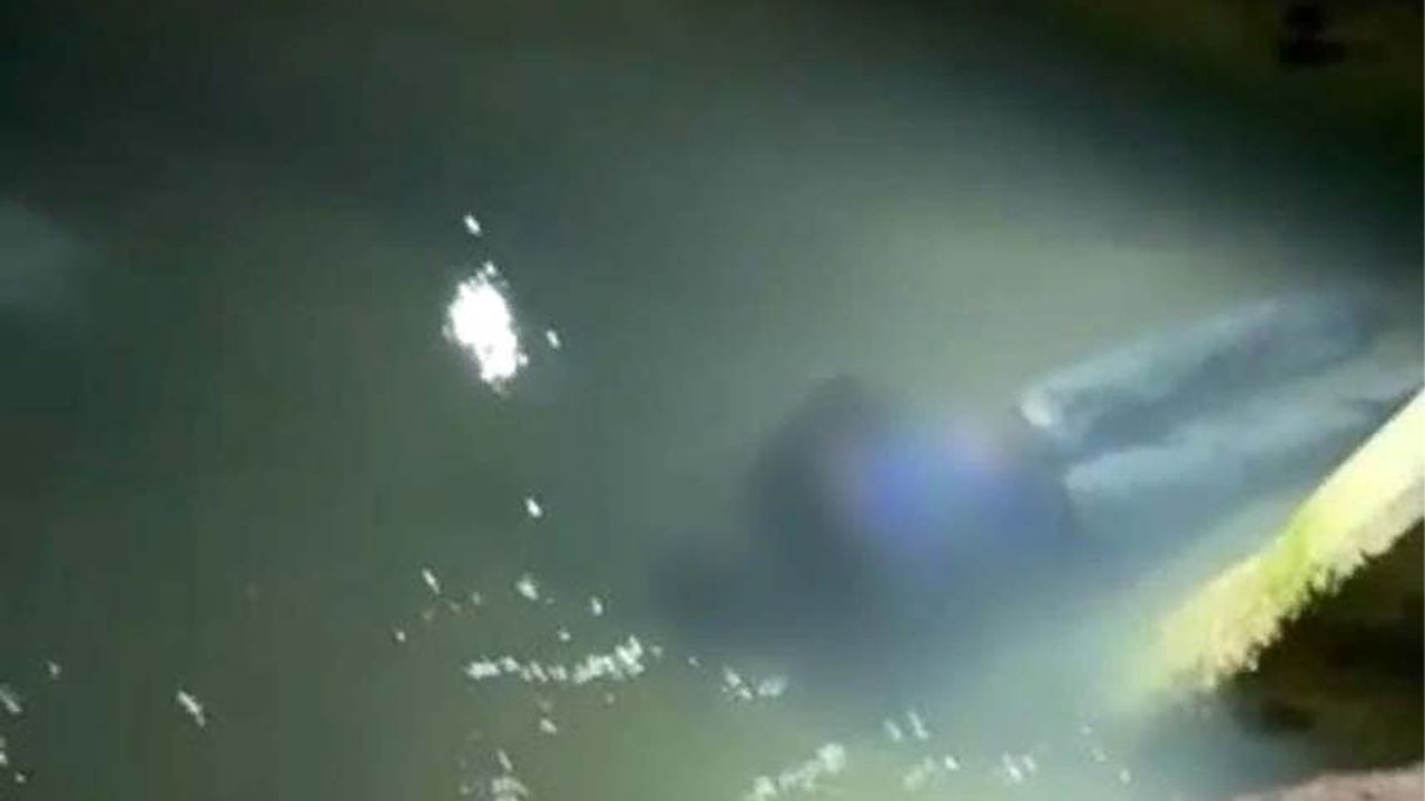 İran uyruklu çobanın cesedi su kanalında bulundu