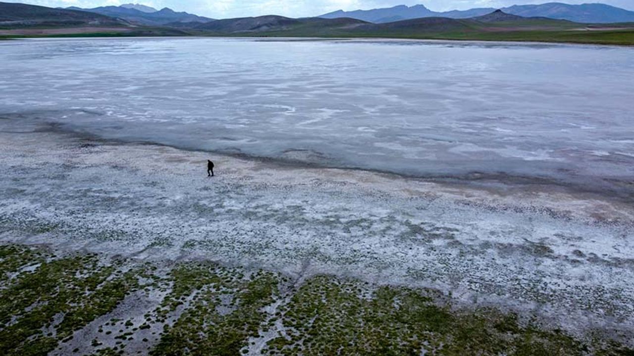 Van'da geçen yıl kuruyan Tuz Gölü, yağışlarla yeniden hayat buldu