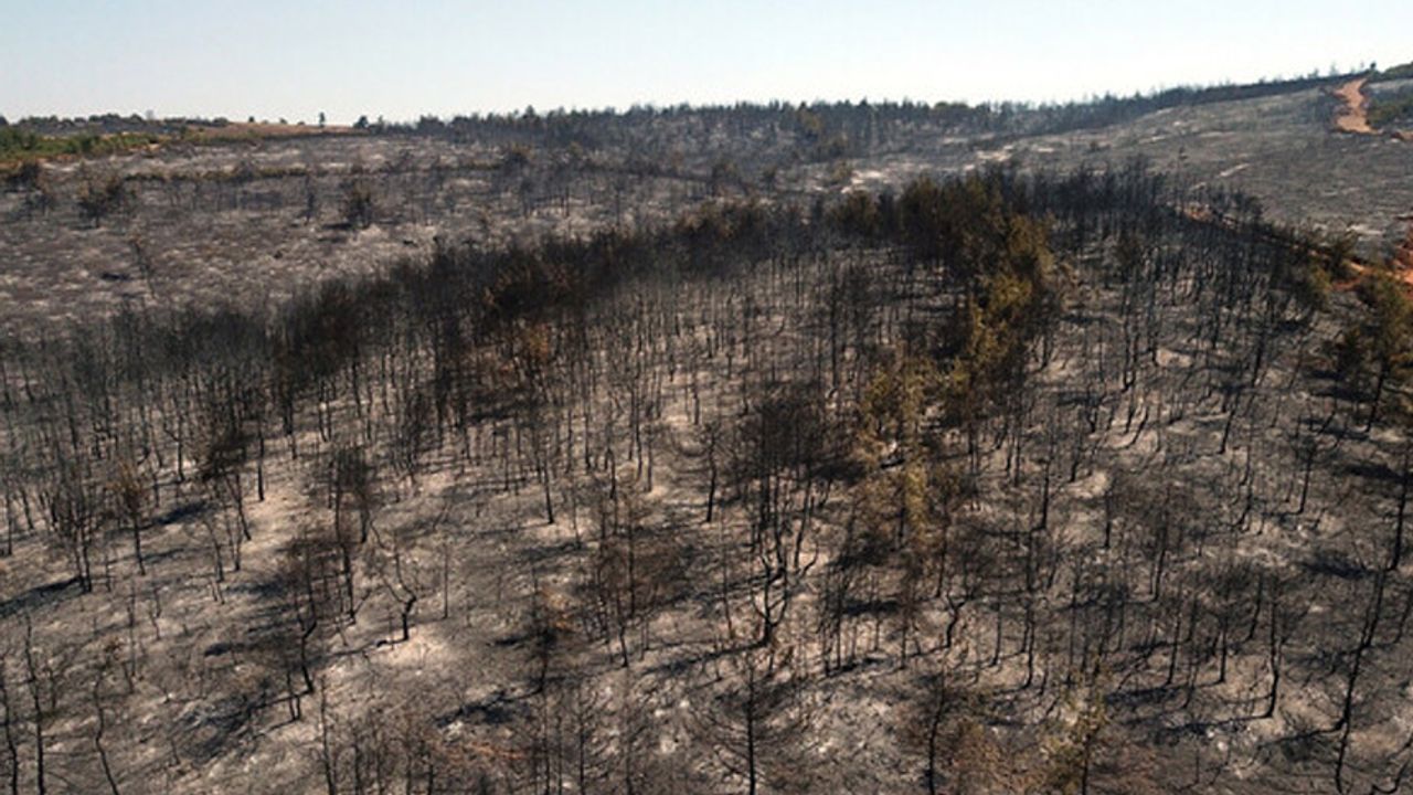 Bilecik'ten Bursa'ya sıçradı: 19 saatte söndürülen orman yangınından geriye kalan manzara...