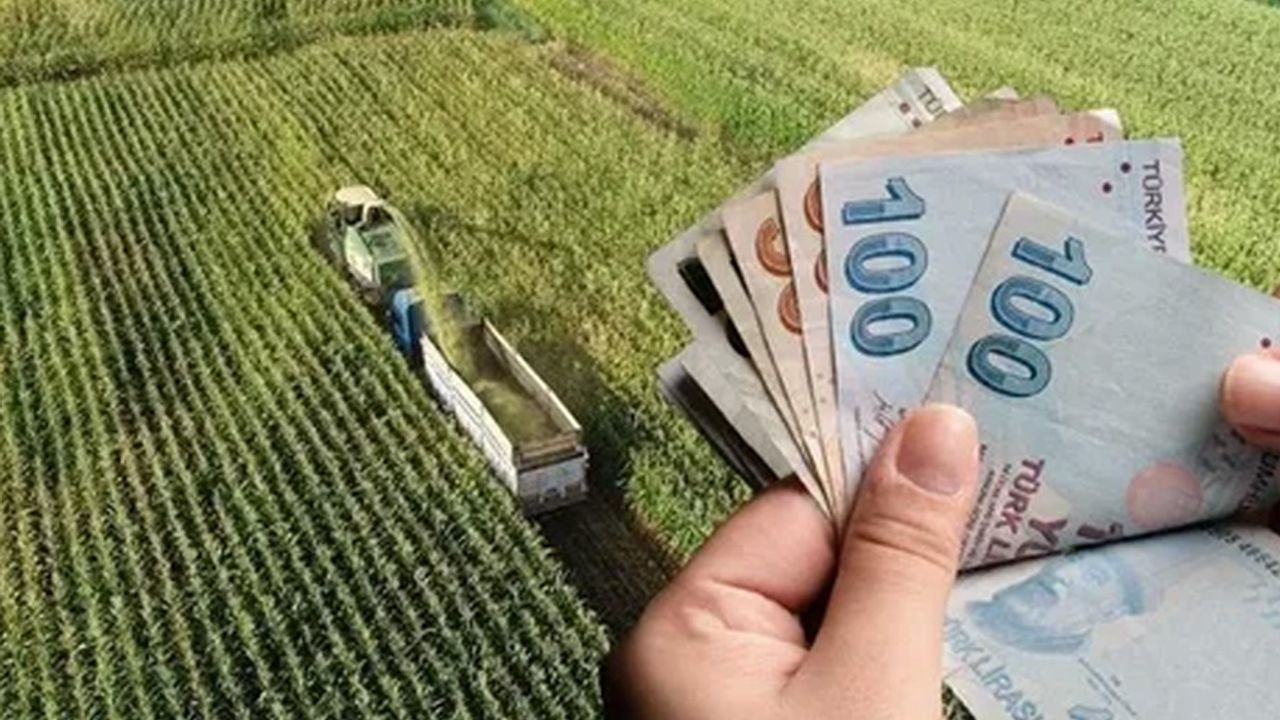 Çiftçilere bu yıl için ödenecek tarımsal destekler belli oldu