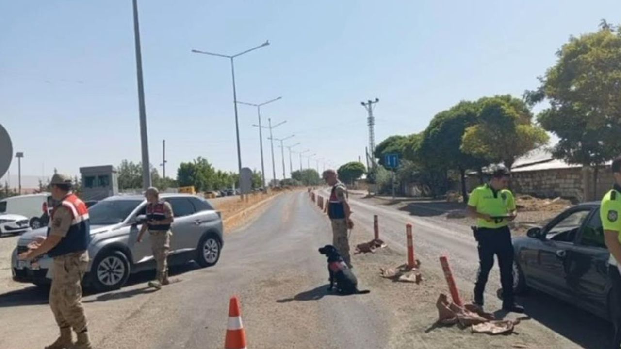 Van’da 20 kişi tutuklandı