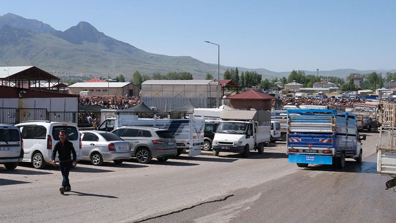 Van’da canlı hayvan pazarı yeniden kapatıldı! İşte kapatılma sebebi…