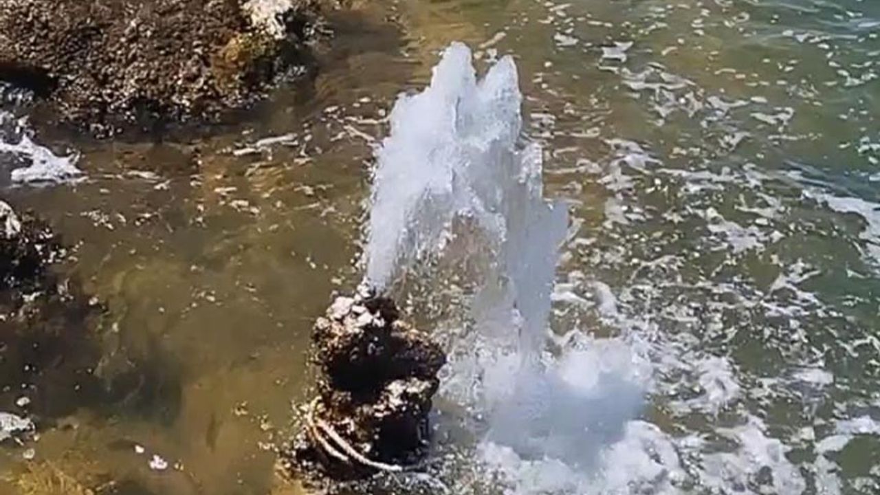 Van Gölü'nde şaşırtan görüntü: Tatlı su fışkırdı