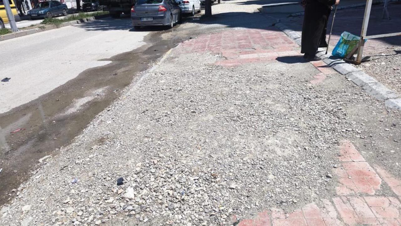 Van’ın asırlık çınarı İskele Caddesi köstebek yuvasına döndü!