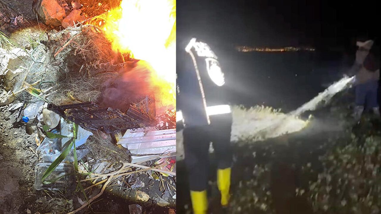 Van Gölü'nde kaçak avlanan 400 kilo inci kefali suya bırakıl