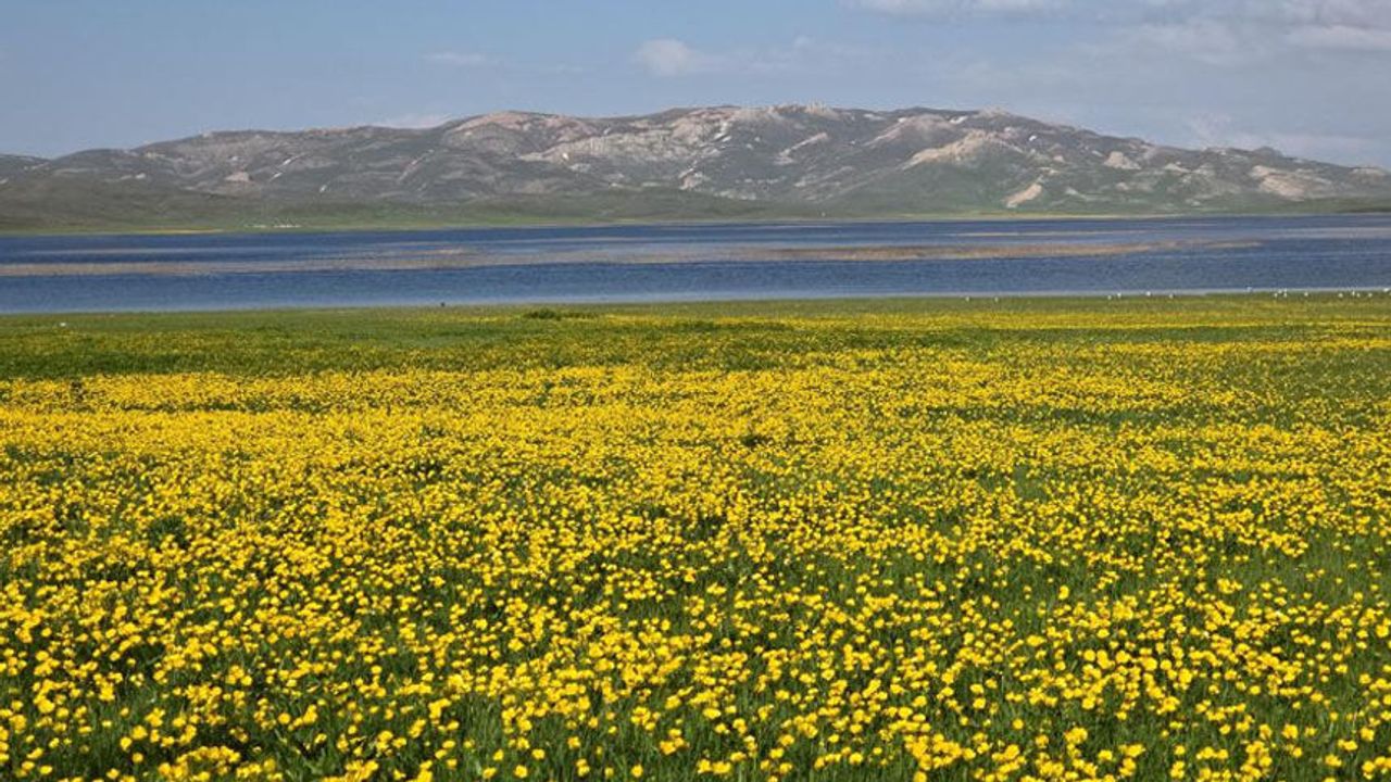 Urartu mirasında görsel şölen: Keşiş Gölü sarıya b