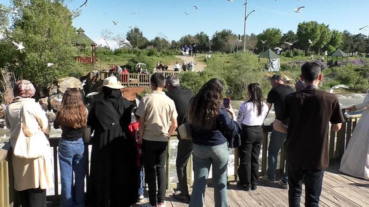Van'da İnci Kefali göçü eşliğinde kutlama