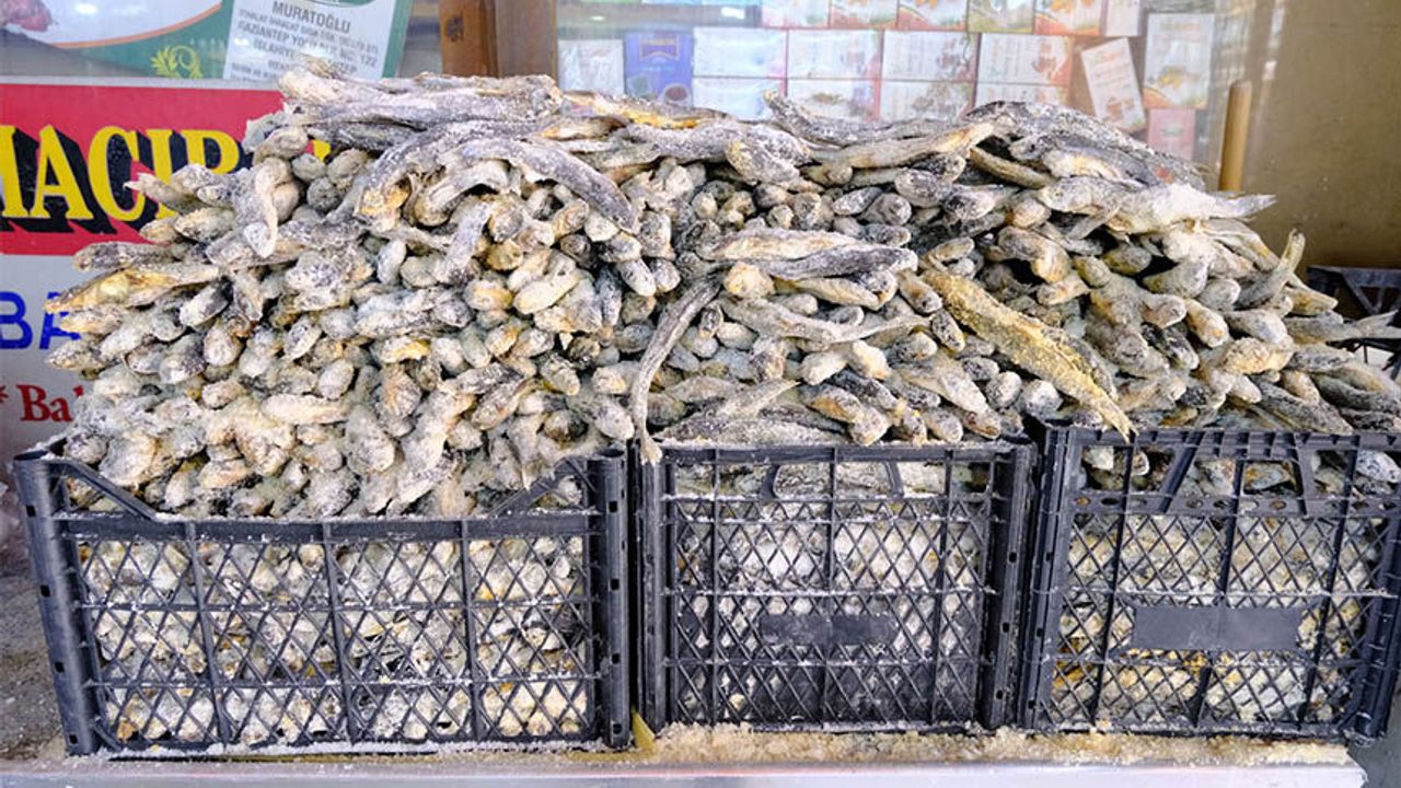 Van’da av yasağı nedeniyle satışları arttı: Kilosu 250 TL’den satılıyor