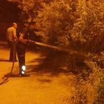 Van’da bahçe yangını korkuttu