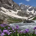 Cilo Dağları'nda kısmi serbestlik başladı