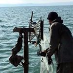Van Balığı av yasağı sona erdi! Kaçak avcılara milyonlarca lira ceza kesildi