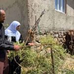 Bir ineği telef oldu, 7 inek, 5 buzağı sahibi oldu