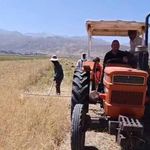 Yüksekova’da sıcak havaya rağmen hasat mesaisi başladı
