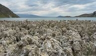 Van Gölü sahilleri mikrobiyalit tarlasına döndü