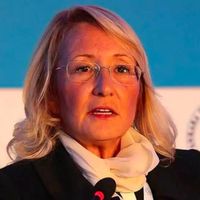 Beril Dedeoğlu Kimdir?