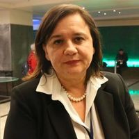 Çiğdem Toker Kimdir?