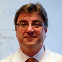 Niyazi Serdar Sarıçiftçi Kimdir?