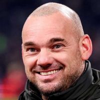 Wesley Sneijder Kimdir?