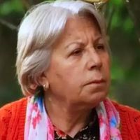 Zerrin Sümer Kimdir?