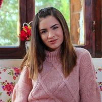 Feride Hilal Akın Kimdir?