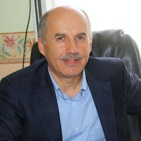 Avni Erdemir Kimdir?
