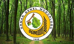 OGM Başvuru Ekranı Açıldı Mı? OGM Personel Alımları Başladı Mı?