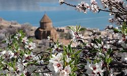 Çiçeklerle kaplanan Akdamar Adası'na fotoğrafçı akını