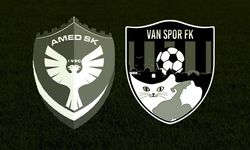 Amedspor ile Vanspor dostluk maçında karşılaşacak