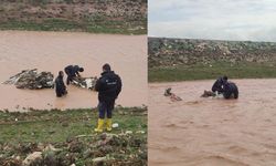 Van polisinden arama kurtarma çalışmalarına destek