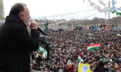 Newroz Van'da kutlandı