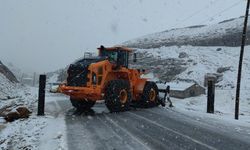 Van-Bahçesaray yolu yeniden ulaşıma kapatıldı