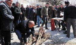 Gürpınarlı yetiştiricilere meyve fidanı…