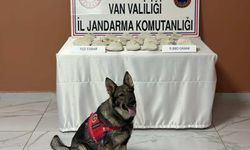 Van'da uyuşturucu operasyonu! 9 kilo 880 gram toz esrar ele geçirildi