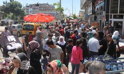 TÜİK Van'ın yurtdışı göç haritasını açıkladı