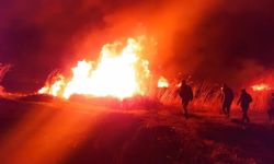 Lokman Aslan: Sazlık yangınları ekolojik dengeyi bozuyor