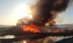 Van’daki sulak alan yangınları artmaya başladı