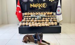 Van'da uyuşturucu operasyonu! 81 kilogram uyuşturucu ele geçirildi