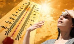 Van’da hava sıcaklıkları mevsim normallerinin üstünde! İşte en sıcak ilçe