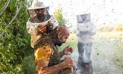 Vanlı arı adamdan dünya rekoru denemesi