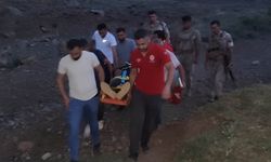 Van'da dağda düşerek yaralanan kişi kurtarıldı