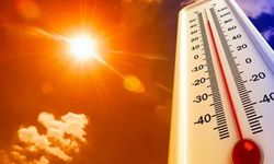 Sıcaklıklar yurt genelinde mevsim normallerinin üzerine çıkacak