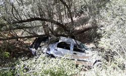 Adana’da köpeğe çarpmamak için manevra yapan otomobil uçurumdan düştü: 4 ölü
