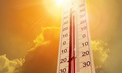 Türkiye'de sıcaklık rekoru Hatay'da kırıldı: 50 dereceyi gördü