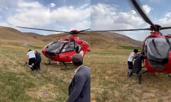 Van'da arı sokmasıyla rahatsızlanan kadın ambulans helikopterle hastaneye kaldırıldı