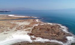 Prof. Dr. Faruk Alaeddinoğlu: Van Gölü ciddi tehdit altında!