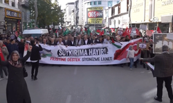 Van'da "Filistin'e destek yürüyüşü" düzenlendi
